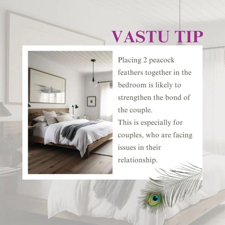 Vastu Tips (1)